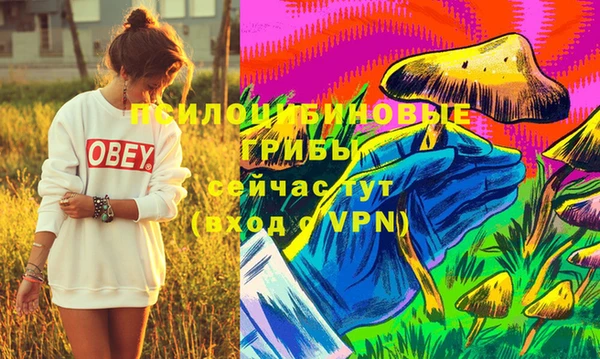 MESCALINE Аркадак