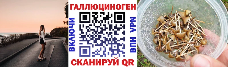 Псилоцибиновые грибы мицелий  Купить где  Красноуфимск 